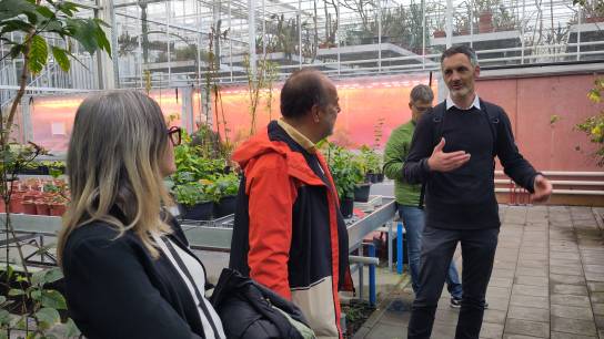 Visit to the Meise Botanic Garden - guided tour by Filip Vandelook, Director of Science at Meise Botanic Garden