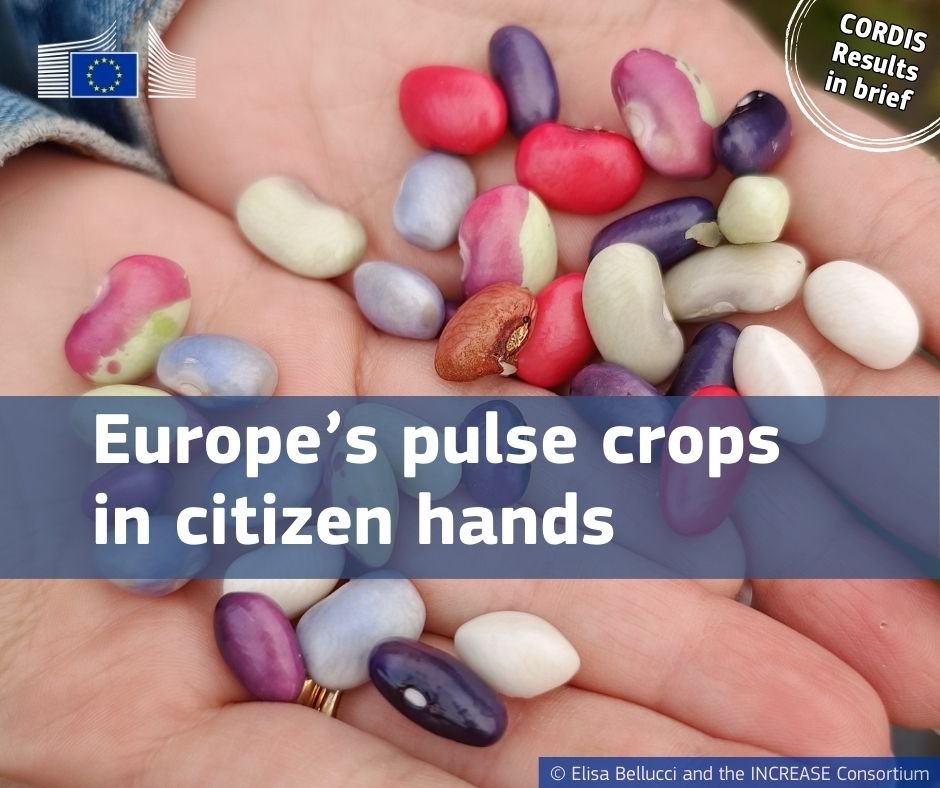 INCREASE_CORDIS%20Results%20in%20Brief%20-%20images%20%20%283%29 INCREASE_CORDIS%20Results%20in%20Brief%20-%20images%20%20%283%29