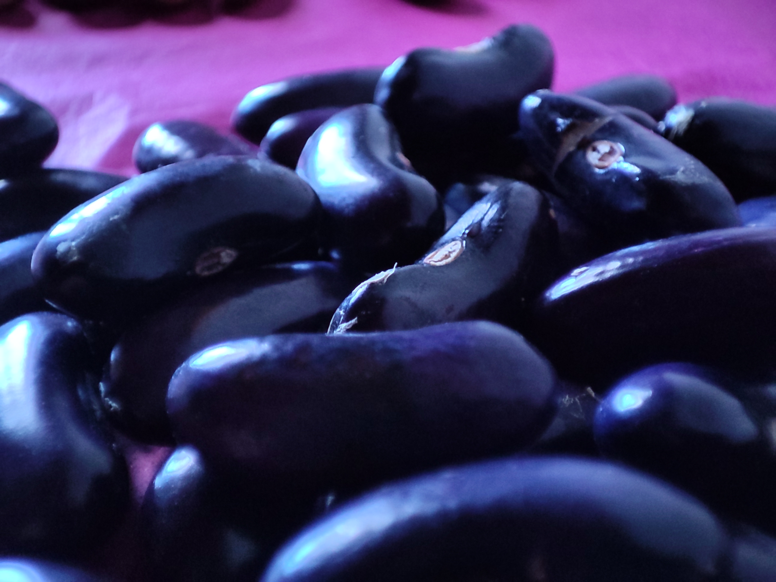 Citizen Science Experiment