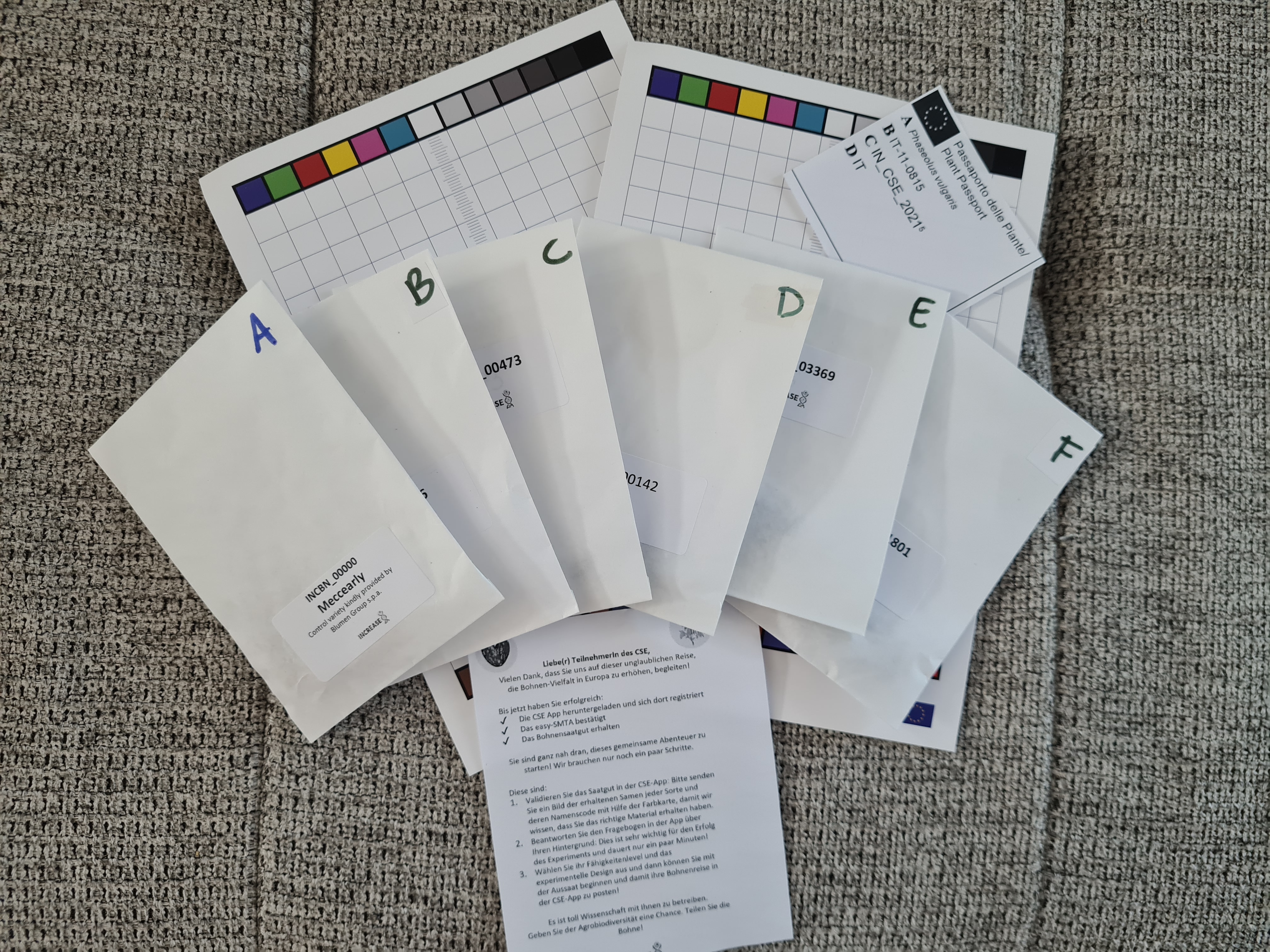 Citizen Science Experiment