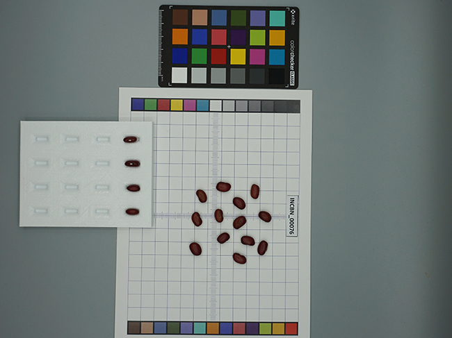 2-frijo-slide10.jpg