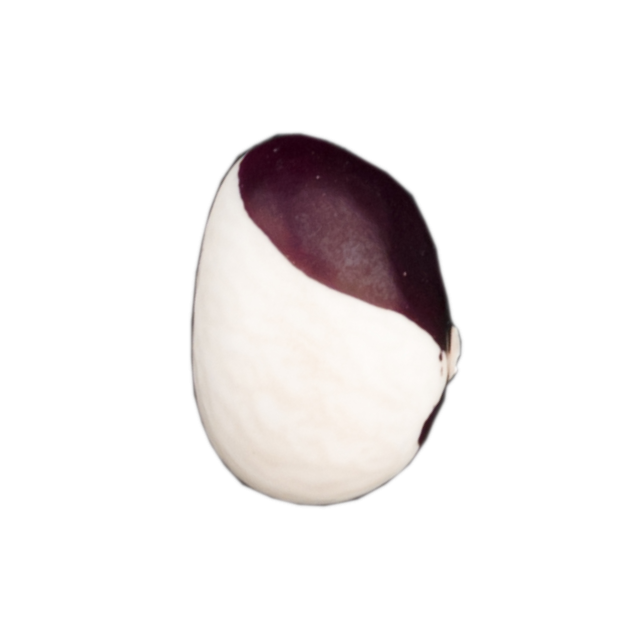 6_pv-177_1_ECe136.png