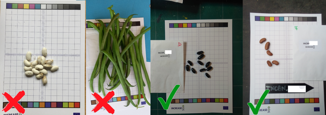 Avoid clustered objects example