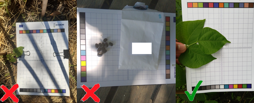 Avoid shadows example