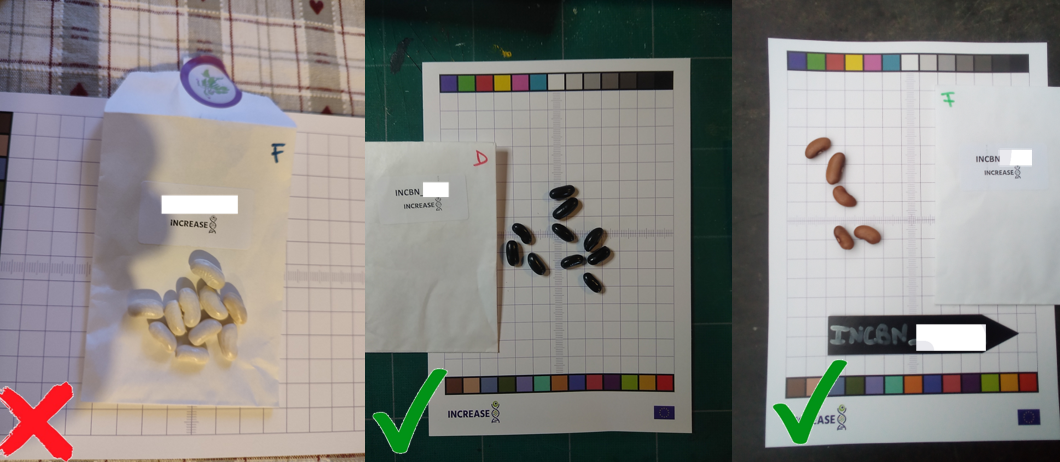 Separate beans from the envelope example