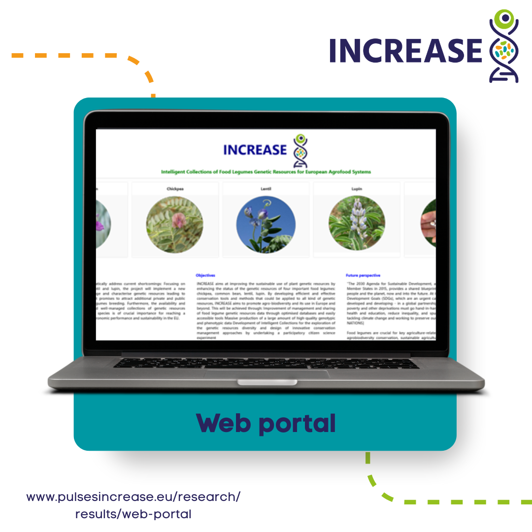 INCREASE